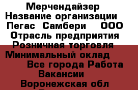 Мерчендайзер › Название организации ­ "Пегас" Самбери-3, ООО › Отрасль предприятия ­ Розничная торговля › Минимальный оклад ­ 23 500 - Все города Работа » Вакансии   . Воронежская обл.,Воронеж г.
